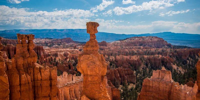 从内容策划到专业呈现：普罗科制作如何定义影视制作新标准