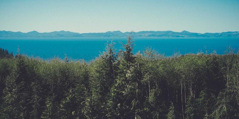 影视制作49：揭秘普罗科制作如何以创意内容驱动行业变革