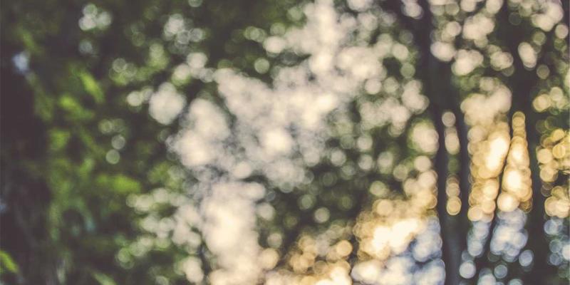 影视制作54：从创意内容到卓越成片，内容策划如何驱动影视工业新浪潮