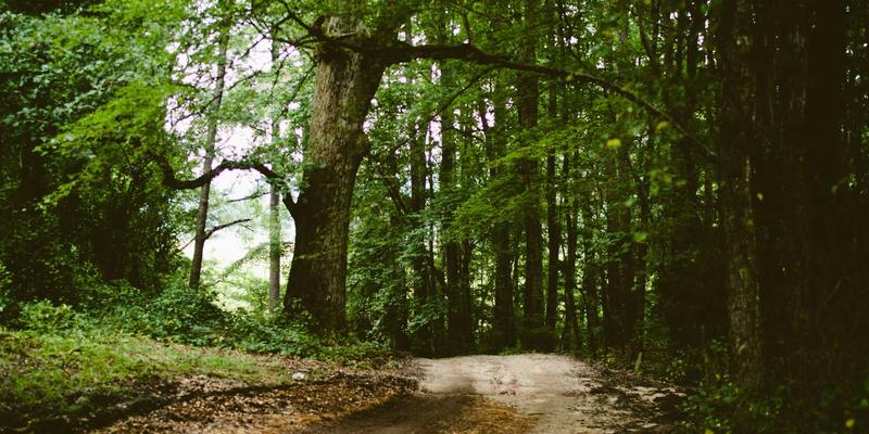 影视制作71法则：从内容策划到视频制作的全流程实战指南