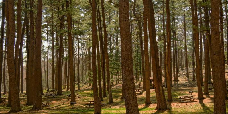 影视制片管理全流程解析：从创意内容孵化到普罗科制作的关键跨越