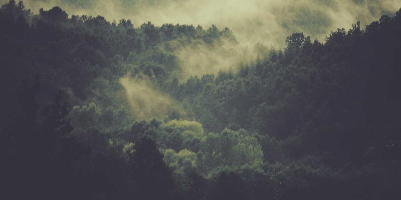 影视声音设计深度解析：拟音、环境音与声音特效的创意内容创作