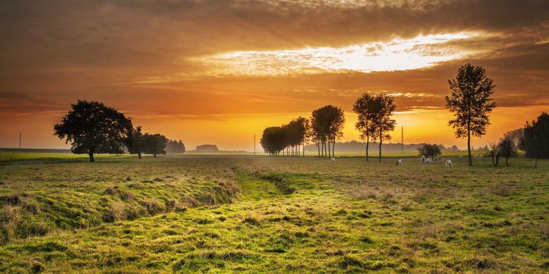 普罗科制作：影视制作与创意内容融合的艺术