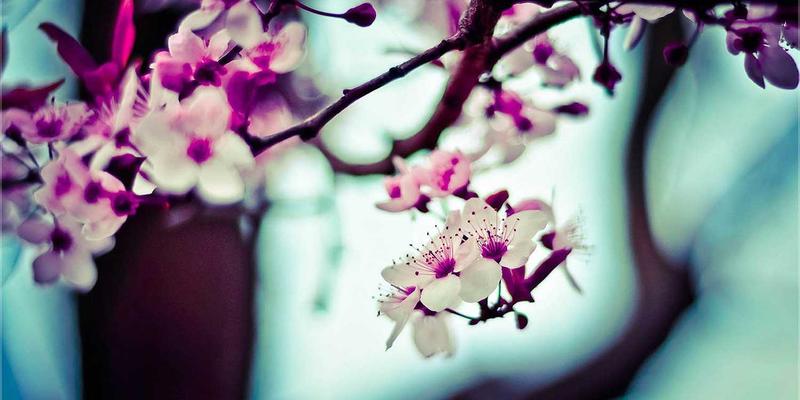 电影色彩分级教程：普罗科制作教你通过调色营造影片氛围